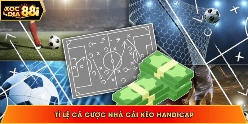 Đọc tỉ lệ kèo handicap và chơi hiệu quả