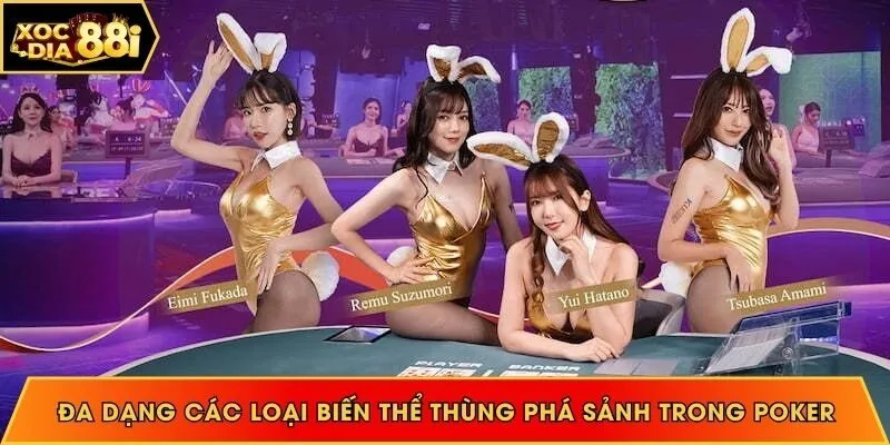 Đa dạng các loại biến thể thùng phá sảnh trong Poker